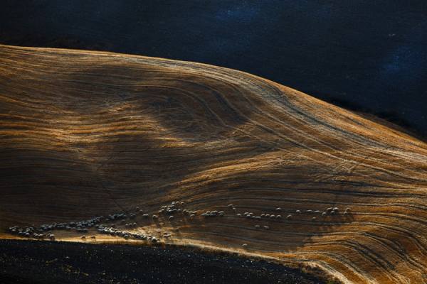 Photograph Della Latta Massimo  Tuscany 5 on One Eyeland